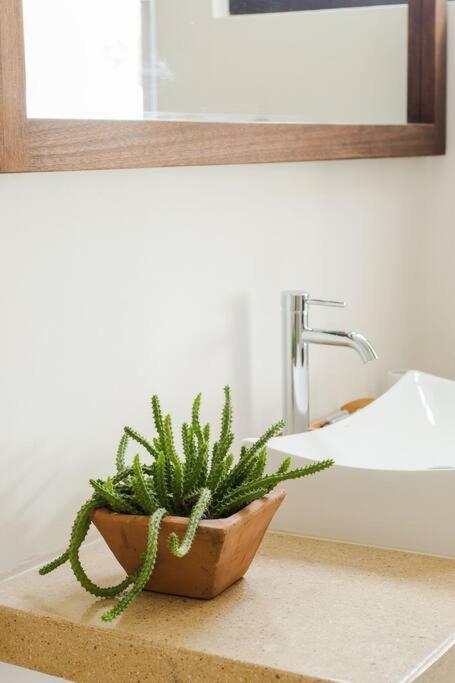 Neem 31 Comfortable, Luxury Apartment 10 Min To The Beach 图卢姆 外观 照片